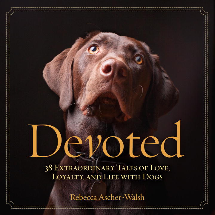Rebecca Ascher-Walsh/Devoted@38 Extraordinary Tales of Love, Loyalty, and Life